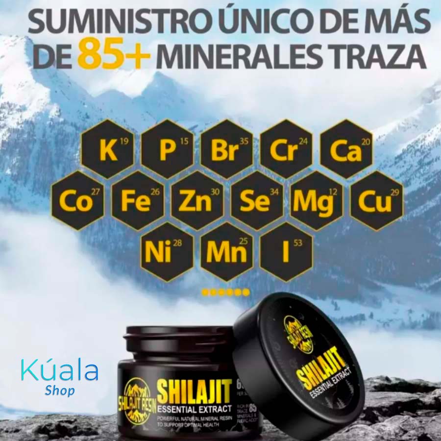 SHILAJIT 100% natural del himalaya 50g